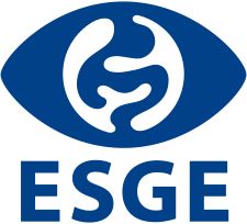 131218_ ESGE logo_RGB for website